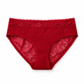 French Brief – Classic Lace