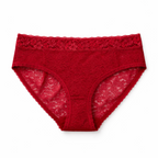 French Brief – Classic Lace